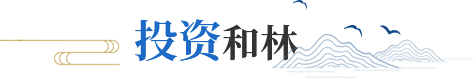 投資和林