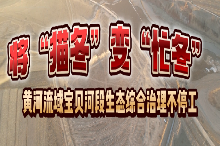 將“貓冬”變“忙冬”  黃河流域寶貝河段生態綜合治理不停工