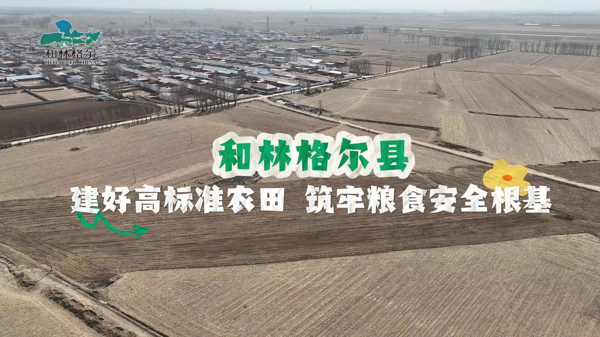 和林格爾縣建好高標準農田 筑牢糧食安全根基