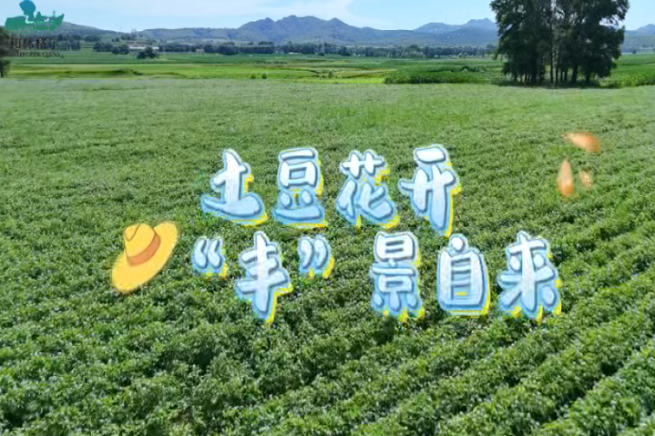 鍦熻眴鑺卞紑   鈥滀赴鈥濇櫙鑷潵