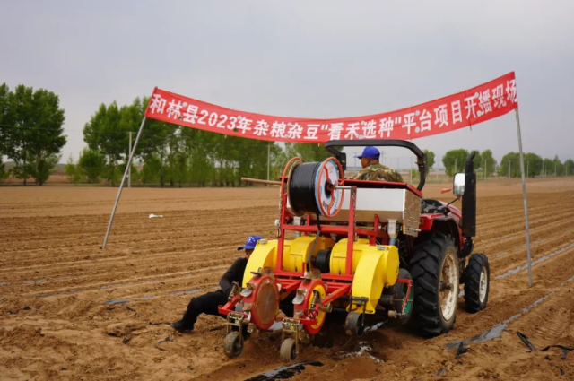 和林格爾縣舉行2023雜糧雜豆“看禾選種”平臺項目開播儀式