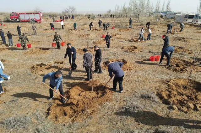 履行植樹義務 共建美麗內蒙古——和林格爾縣  開展全民義務植樹活動