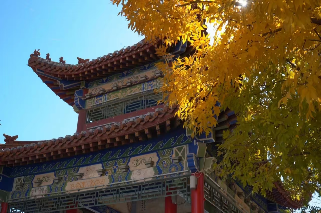 和林格爾縣：深秋美景惹人醉