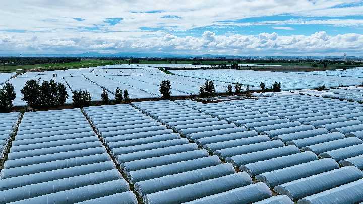 涓囦憨瑗跨摐鍠滆幏涓版敹 嬋€媧諱埂鏉戔€滅敎铚溾€濈粡嫻巁鍓湰.png